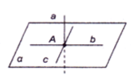 Новый рисунок (14)